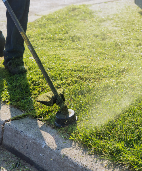 A person using a lawn mower to cut grass